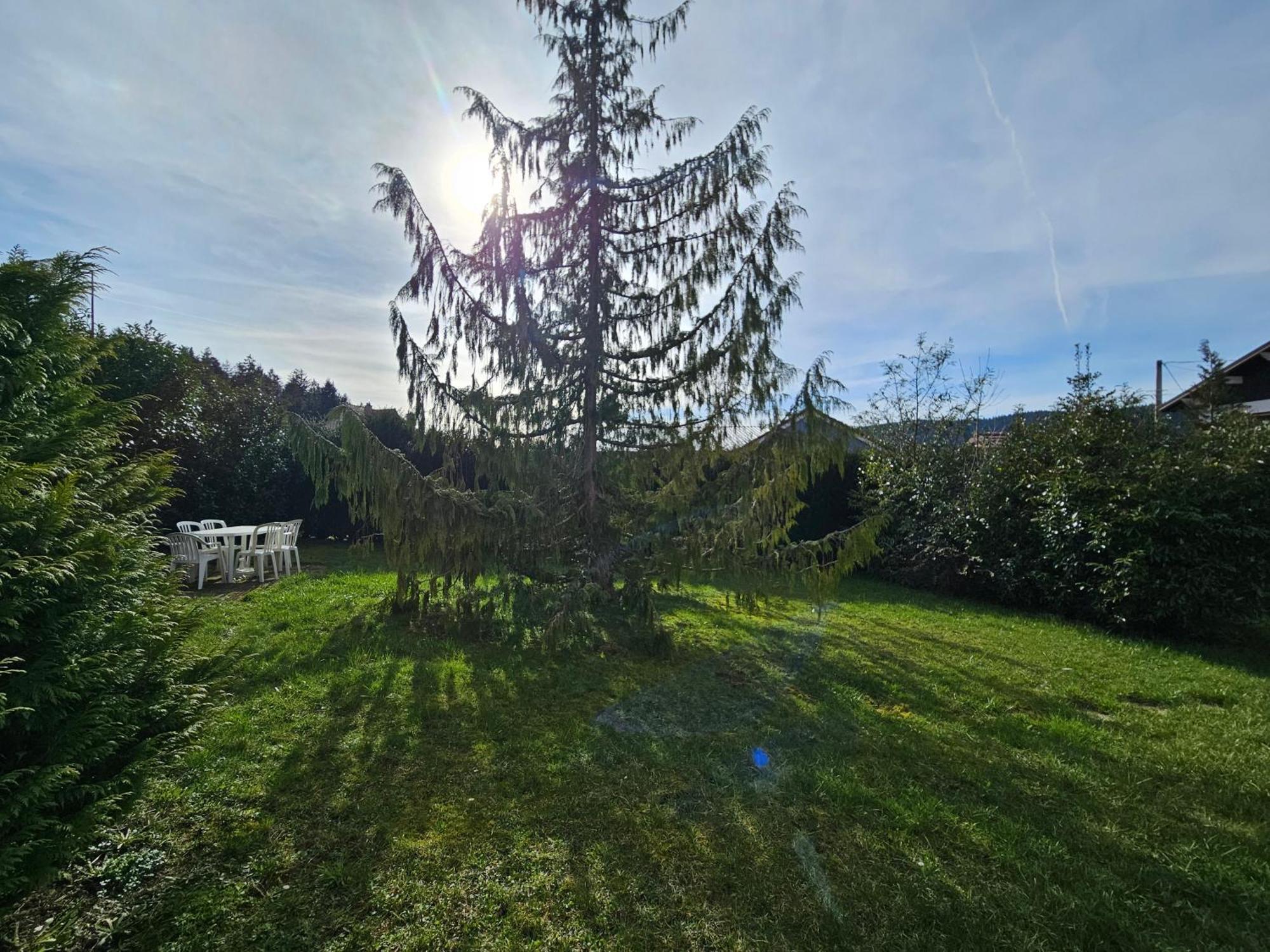 Appartement Chaleureux Gerardmer Proche Foret Exterior foto